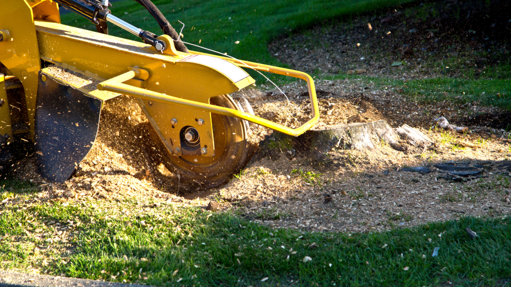 Stump Grinding Services in Howey-In-The-Hills