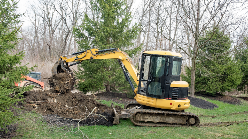 Tree Removal Service In Howey-In-The-Hills