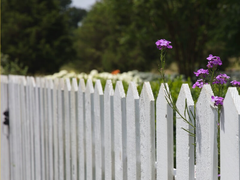 fence installation and services in winter garden fl