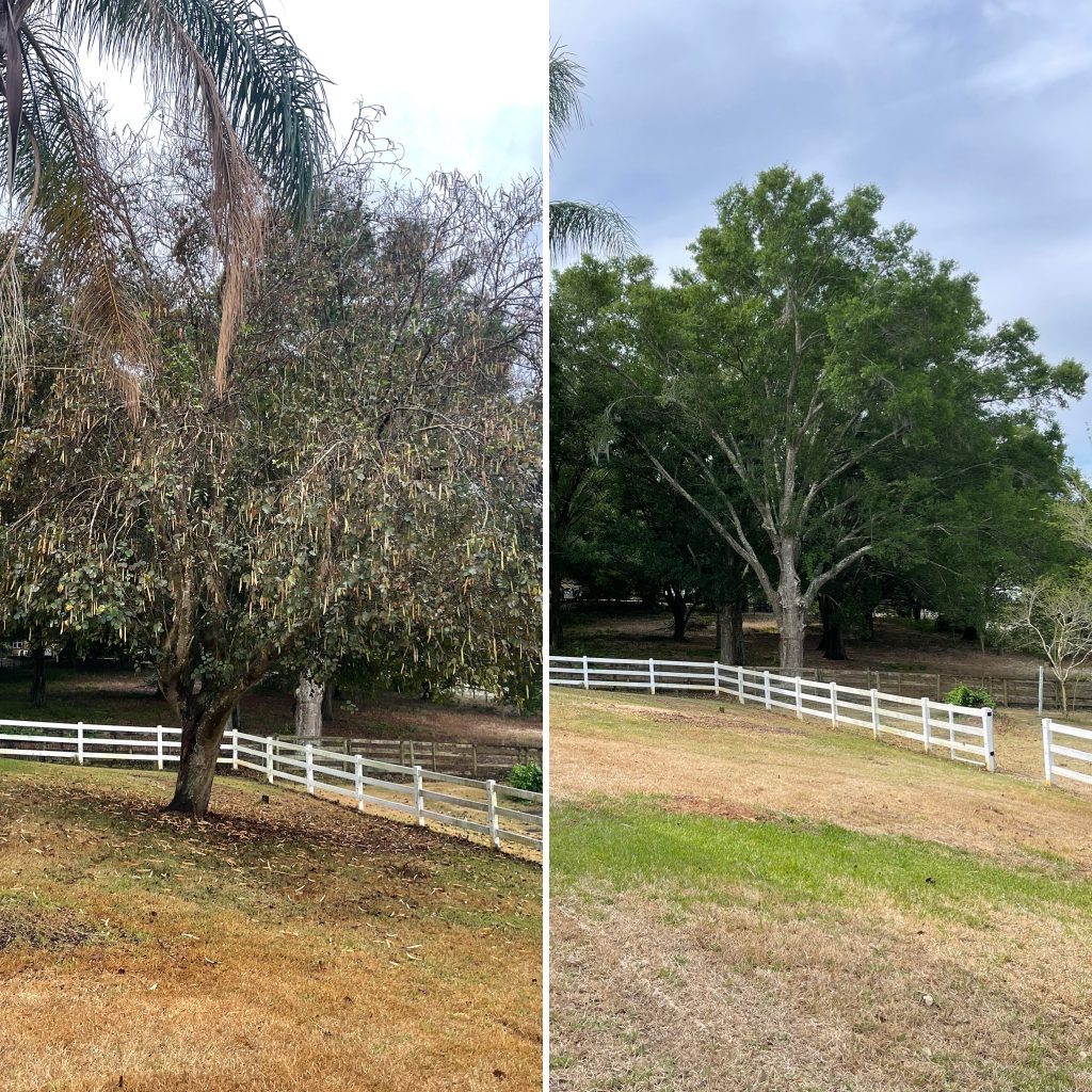 fence maintenance