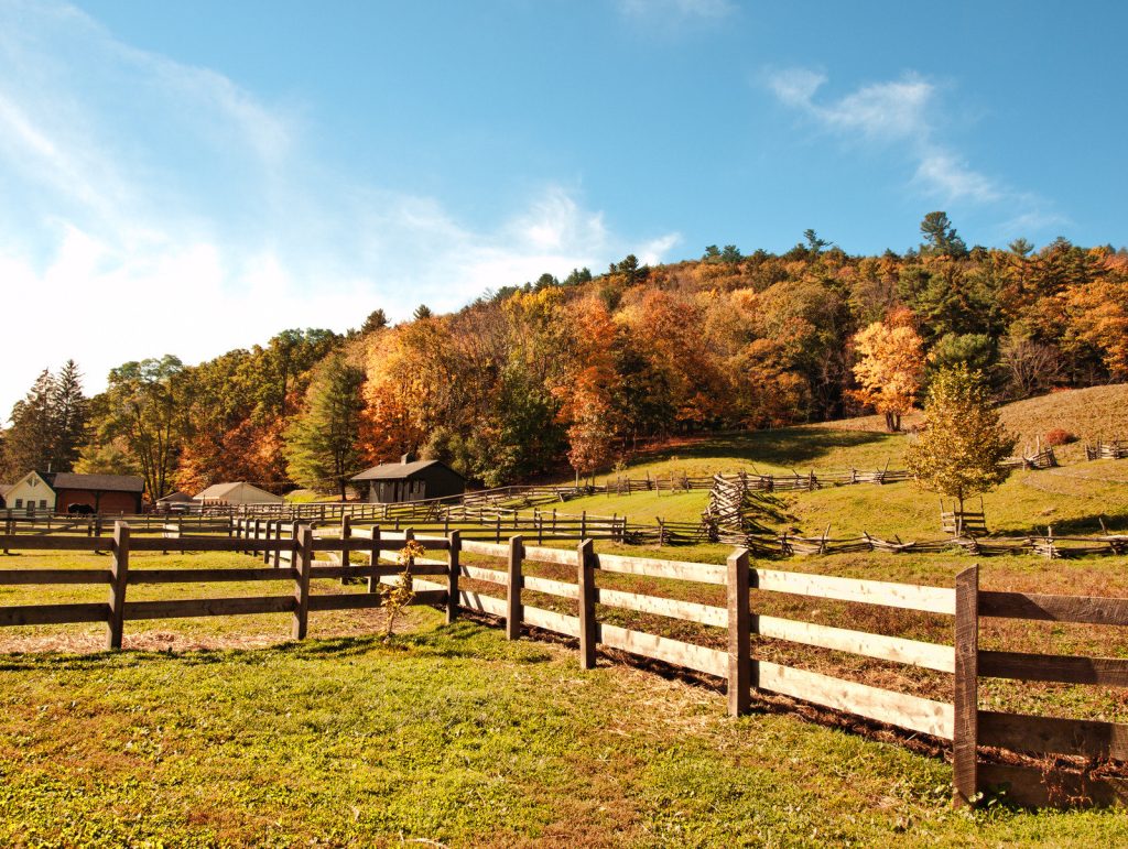 fence maintenance winter garden fl